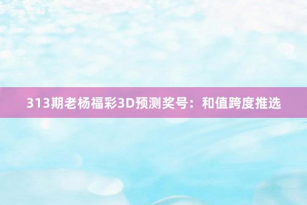 313期老杨福彩3D预测奖号：和值跨度推选
